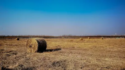 Casino Lucky Pants Bingo Mobiilirakendus